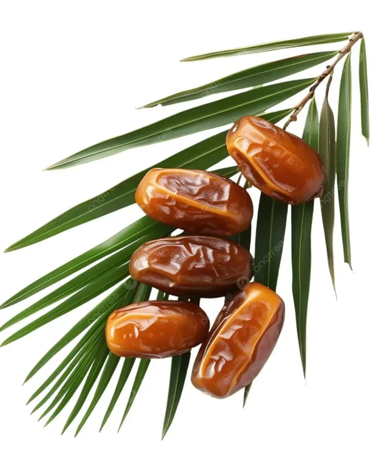 Semi Dried Dates