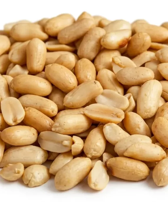 Blanched Peanuts