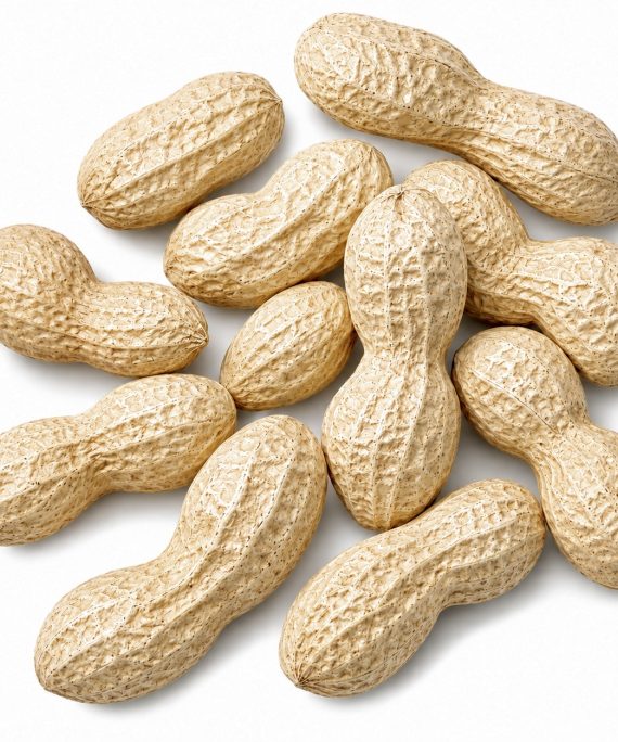 Peanuts in Shell