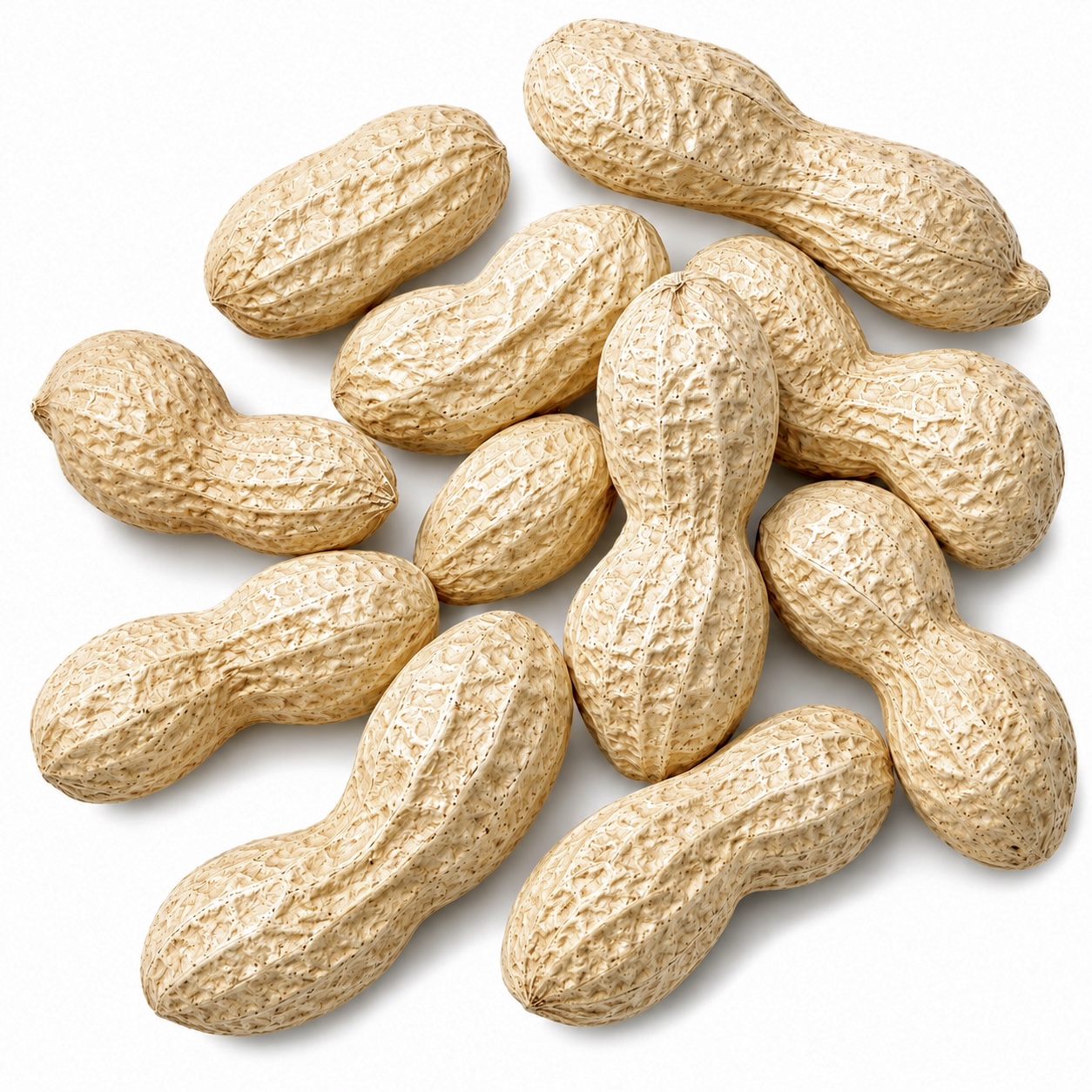 Peanuts in Shell