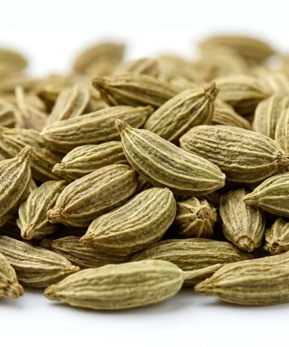 Anise Seeds