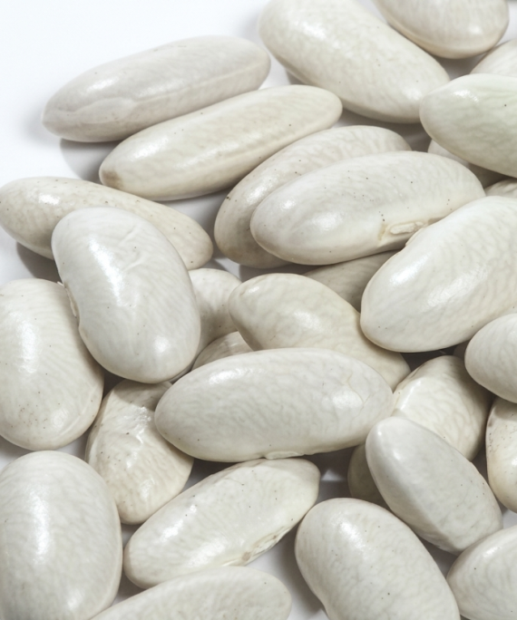 White Kidney Beans